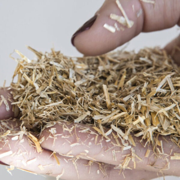 paille en main+ (5) paille en main+ (5)